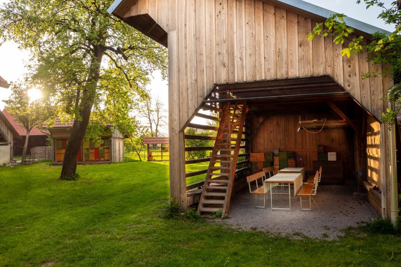 Beekeeping Kojek Apartment Ribnica Exterior photo