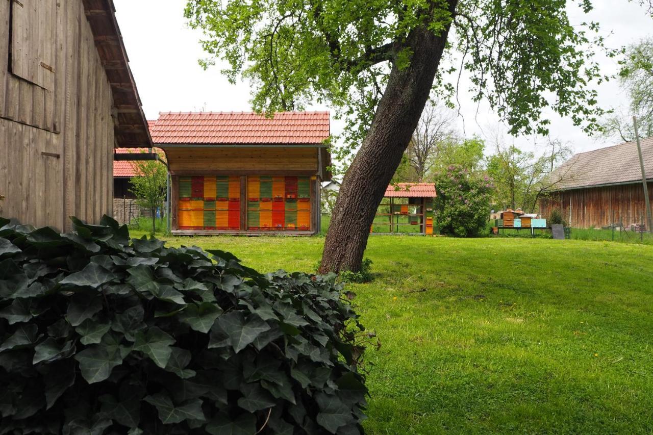 Beekeeping Kojek Apartment Ribnica Exterior photo
